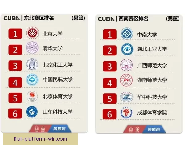 全面解析体育竞猜网站玩法技巧与投注技巧，让你轻松赢取奖金